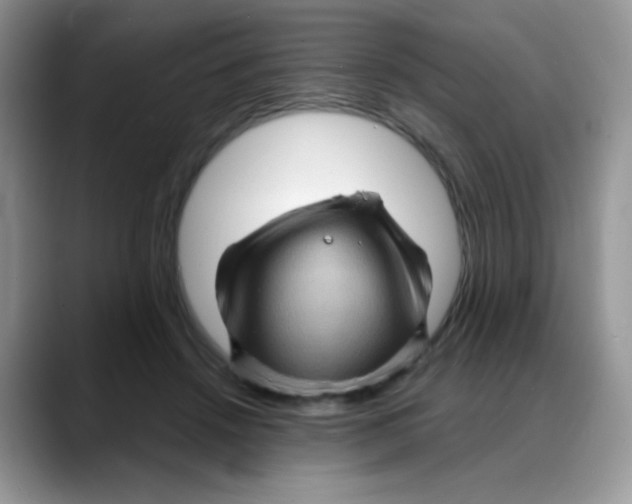 X0000088060456200706081653