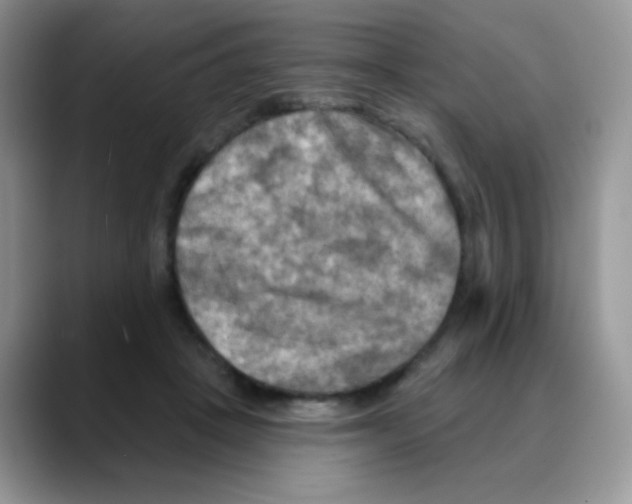 X0000088060457200706081653