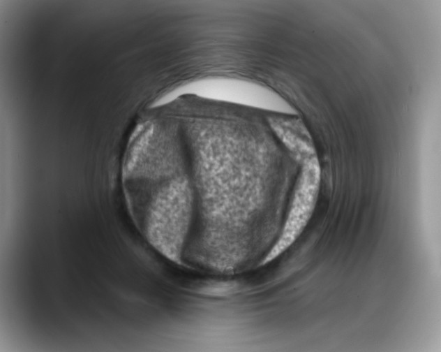 X0000088060458200706081653