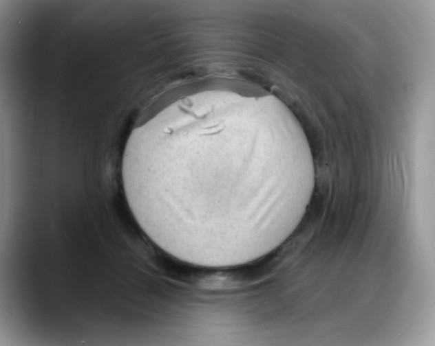X0000088060460200706081653