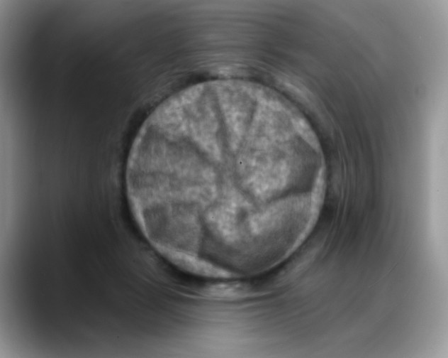 X0000088060461200706081653