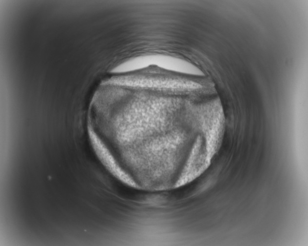 X0000088060462200706081653