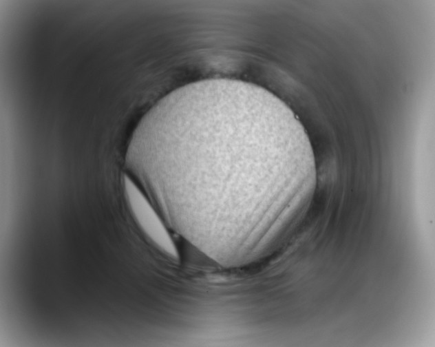 X0000088060464200706081653