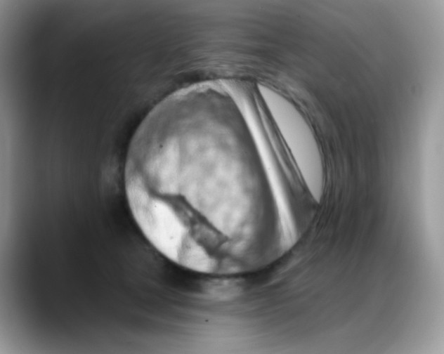 X0000088060465200706081653
