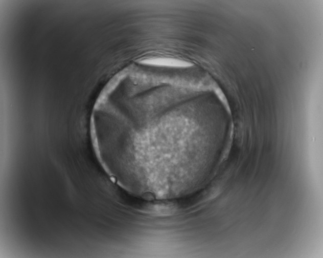 X0000088060466200706081653