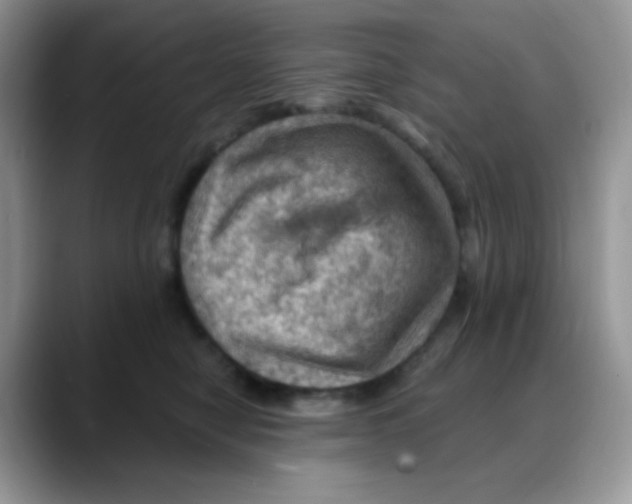 X0000088060470200706081653