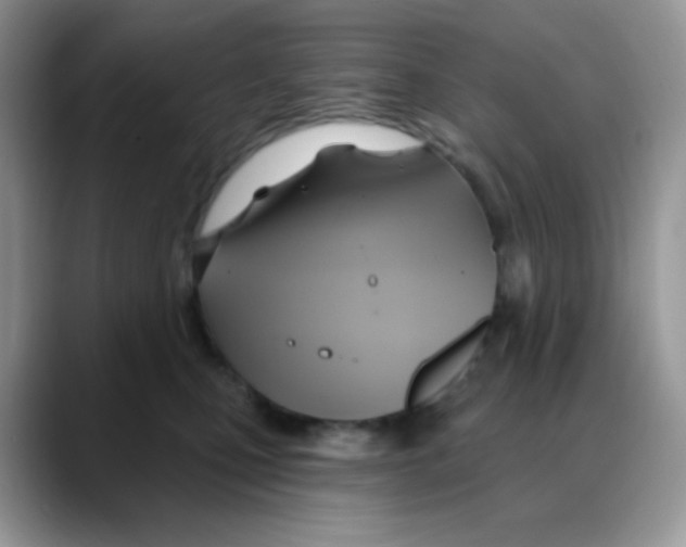 X0000088060471200706081653