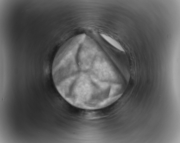 X0000088060472200706081653