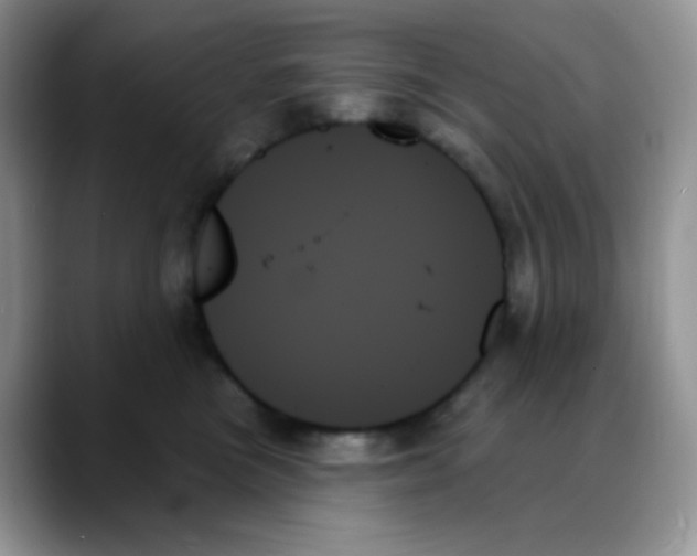 X0000088060473200706081653