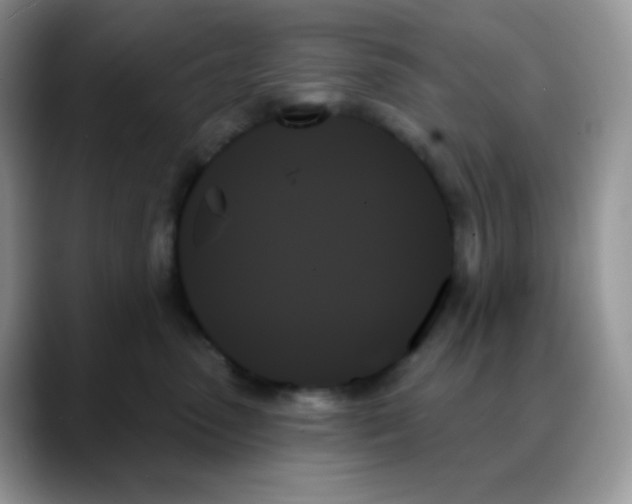 X0000088060475200706081653