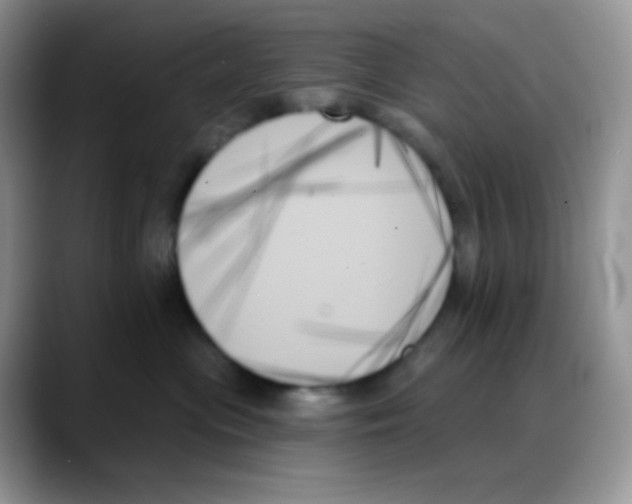 X0000088060477200706081653