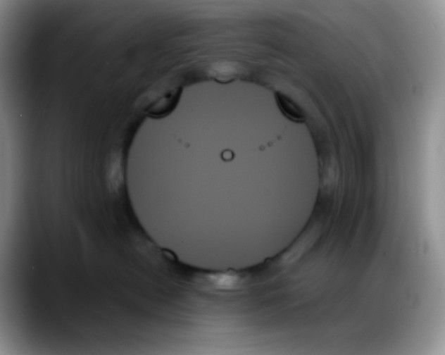 X0000088060478200706081653