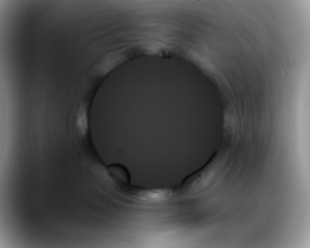 X0000088060479200706081653