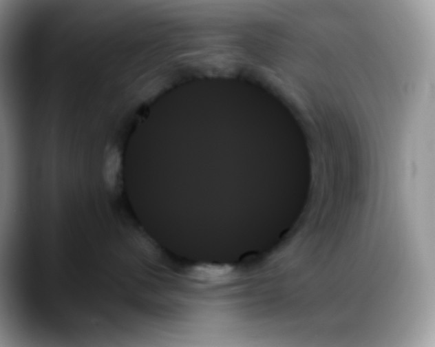 X0000088060480200706081653
