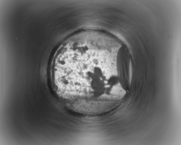 X0000088060487200706081652