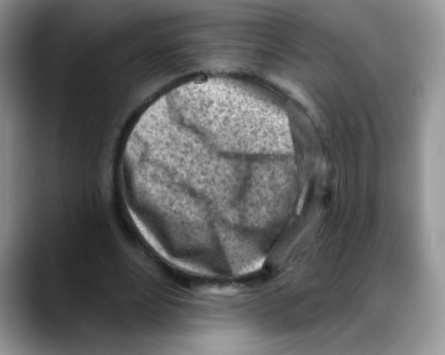 X0000088060488200706081652
