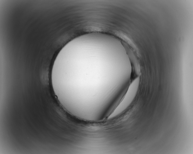 X0000088060489200706081652