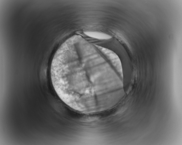 X0000088060491200706081652