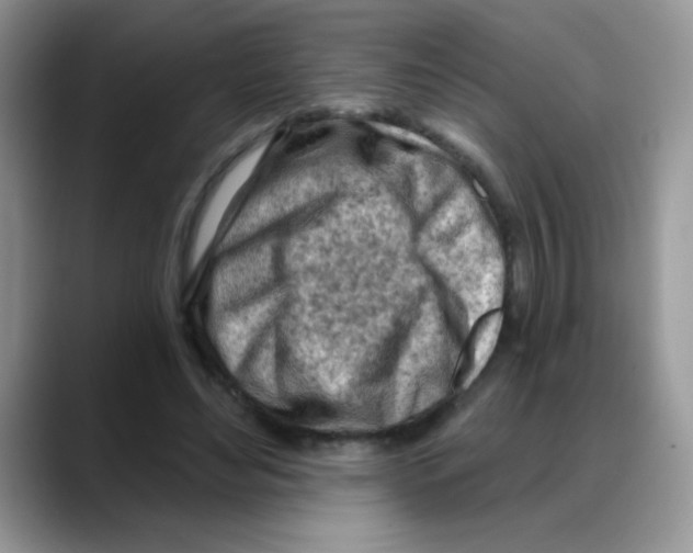 X0000088060492200706081652