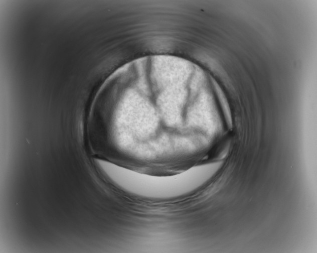 X0000088060493200706081652