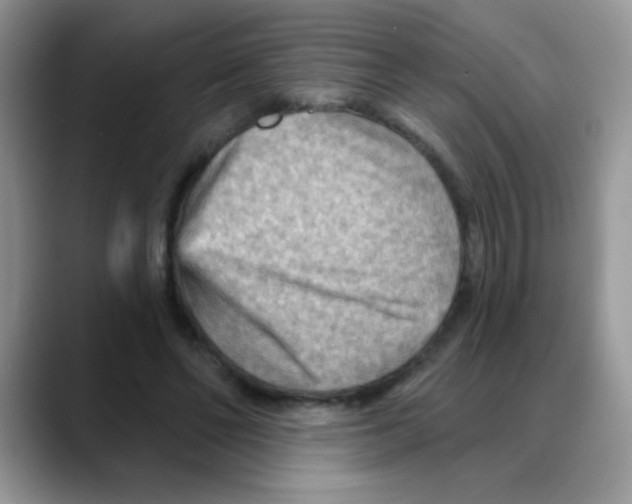 X0000088060494200706081652