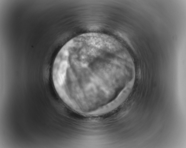 X0000088060495200706081652