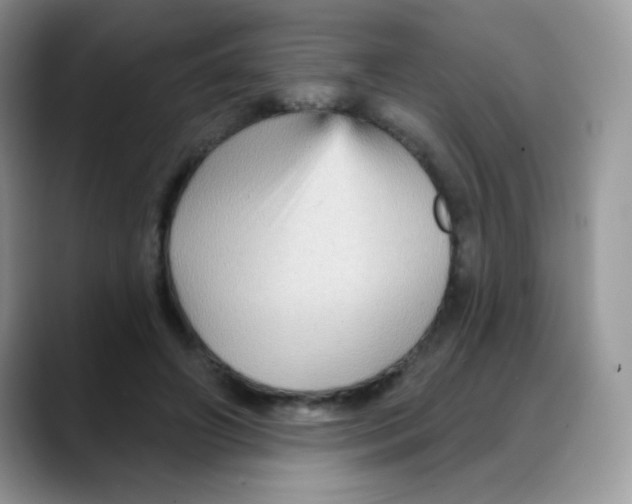 X0000088060498200706081652