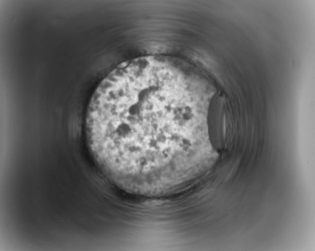 X0000088060499200706081652