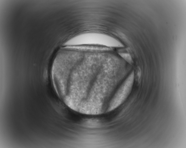 X0000088060500200706081652