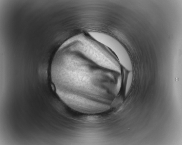 X0000088060501200706081652