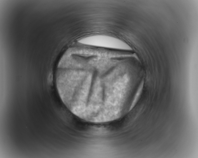 X0000088060502200706081652