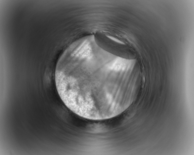 X0000088060503200706081652