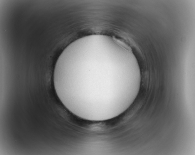 X0000088060505200706081652
