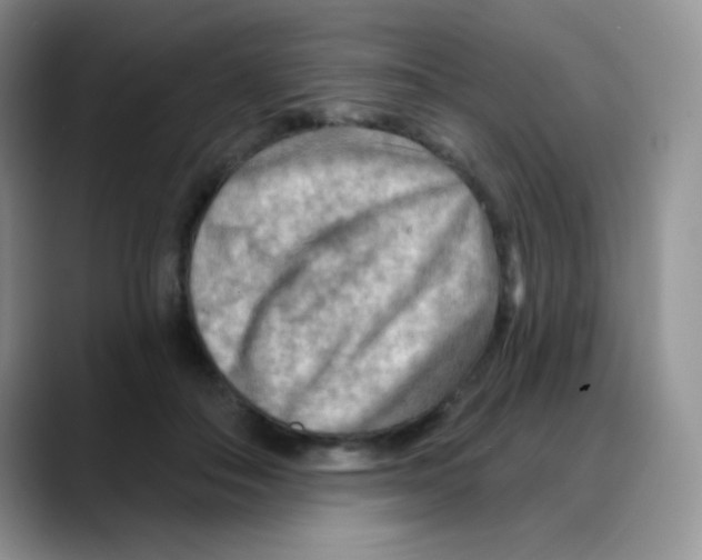 X0000088060506200706081652