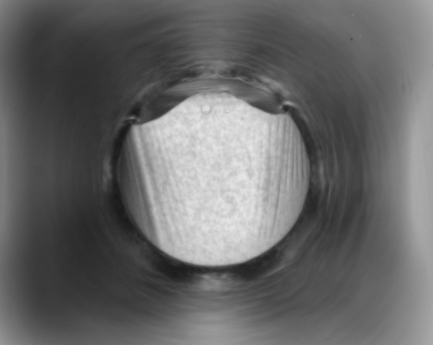 X0000088060508200706081652