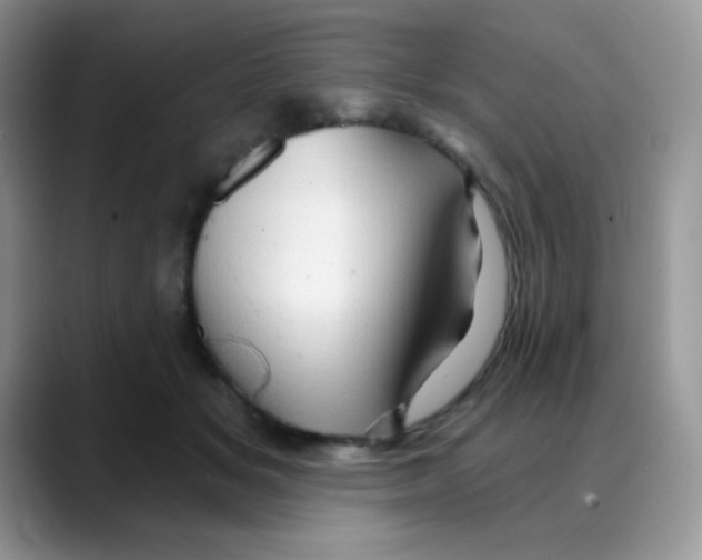 X0000088060509200706081652