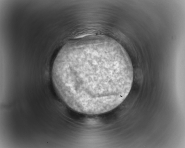 X0000088060510200706081652