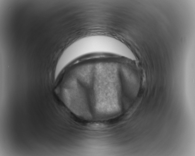X0000088060512200706081652