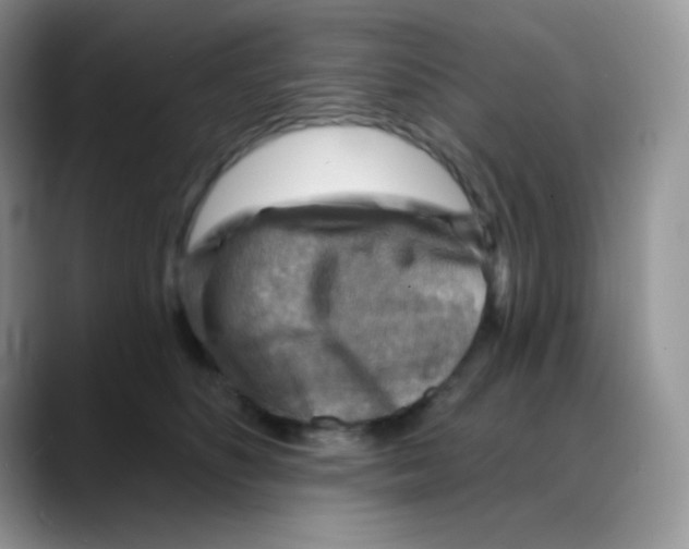 X0000088060516200706081652