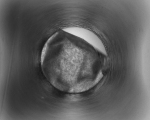 X0000088060517200706081652