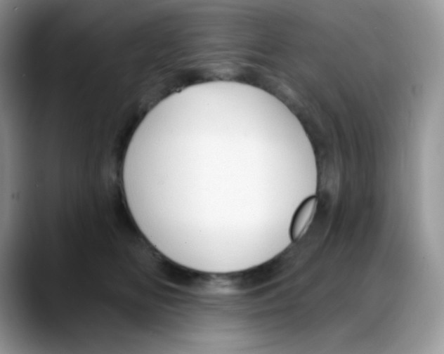 X0000088060518200706081652