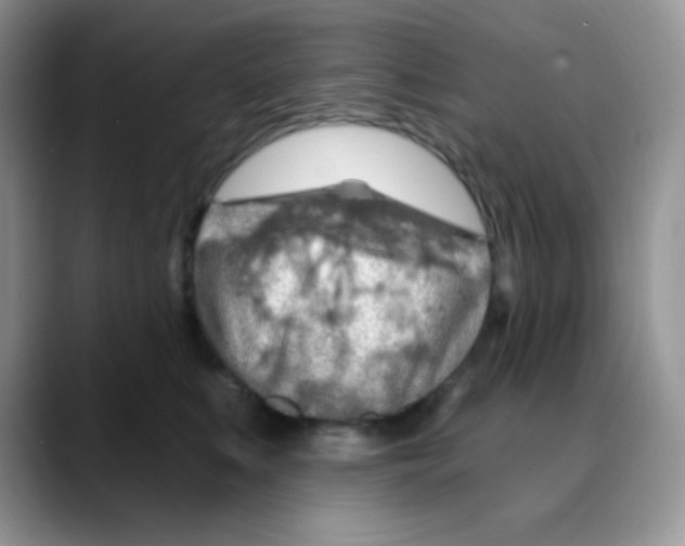 X0000088060519200706081652