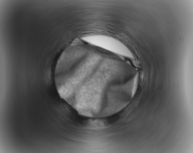 X0000088060520200706081652
