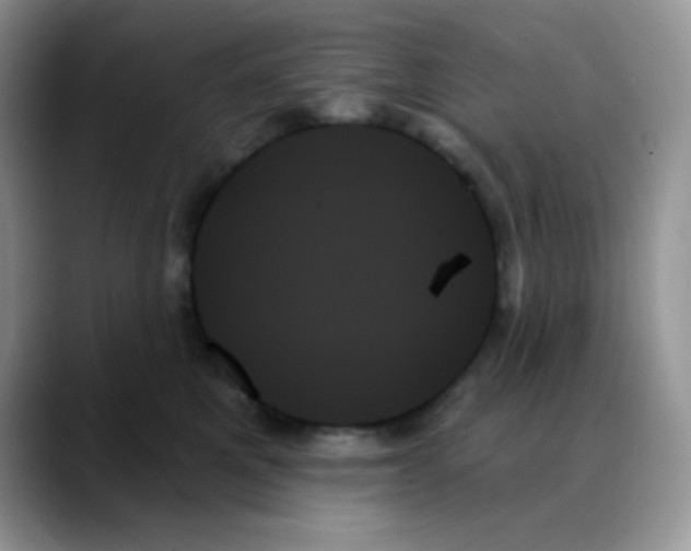 X0000088060521200706081652