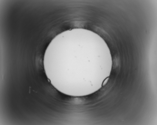 X0000088060522200706081652