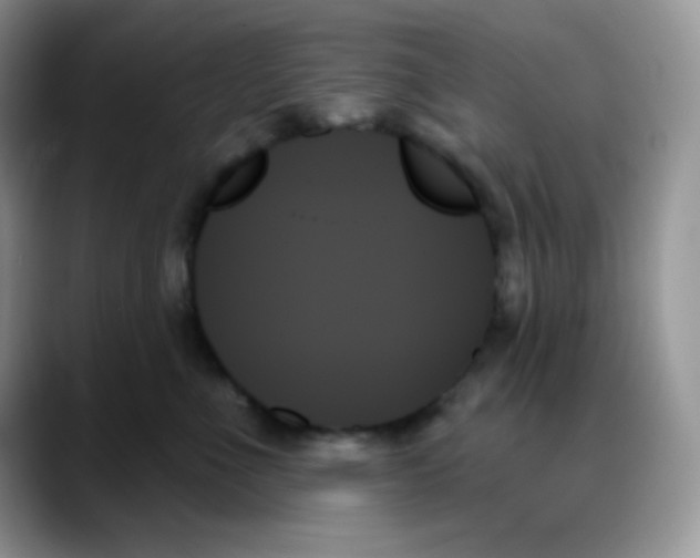 X0000088060523200706081652