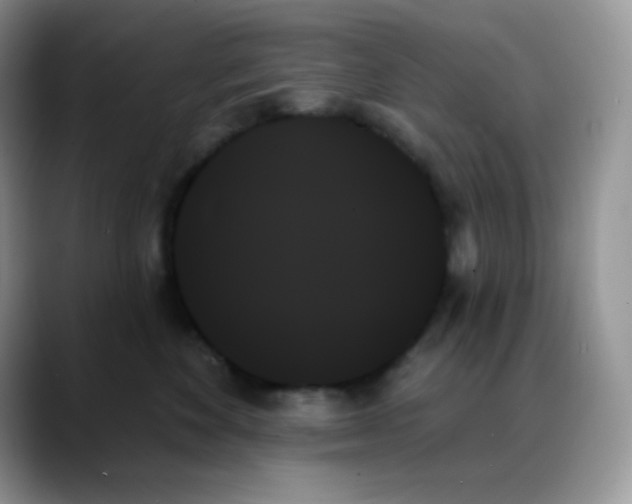 X0000088060524200706081652