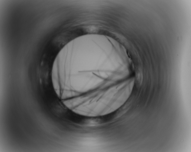 X0000088060525200706081652