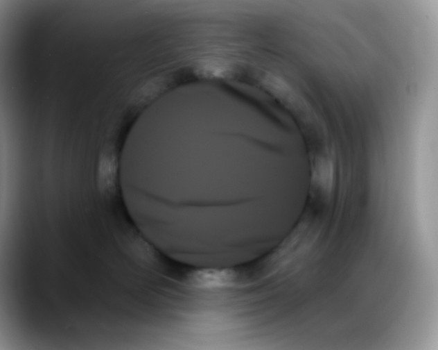 X0000088060526200706081652