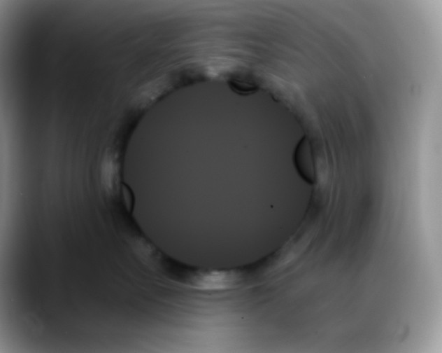 X0000088060527200706081652